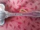 Antique American Silver Co Moselle Grapes Shell Sugar Spoon 6 