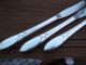 3 Community Oneida Lady Hamilton Modern Grille Knives Lotd Flatware & Silverware photo 1