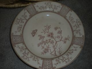 Transferware Bowl Late 1800 By T Furnival & Sons Madras photo