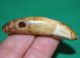 Antique African Drilled Lion Tooth Pendant Amulet Collected From The Congo Jewelry photo 2