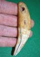 Antique African Drilled Lion Tooth Pendant Amulet Collected From The Congo Jewelry photo 2