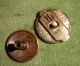 Antique West Silver Floral Solitaires Bachelor Stud Button Spring Mechanism Buttons photo 1