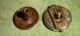 Antique West Silver Floral Solitaires Bachelor Stud Button Spring Mechanism Buttons photo 2