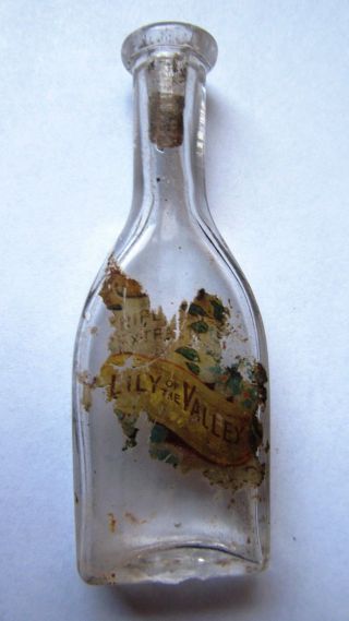 Antique Lily Of The Valley Extract Druggist 3 