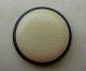 Antique - Cream & Black Celluloid & Metal Button - 15/16 