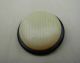 Antique - Cream & Black Celluloid & Metal Button - 15/16 