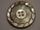 Exquisite Victorian Hand - Cut Mother Of Pearl 2 3/8 
