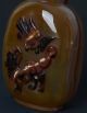 Chinese Kylin&eagle Hand Carved Natural Agate Floater Snuff Bottle - Jr10859 Snuff Bottles photo 8