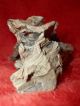Ostrich Head Skull Natural Wood Growth Figure Other photo 6