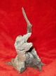 Mythical Dragon Crocodile Alligator Driftwood Natural Wood Growth Figure Statue Other photo 2