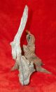 Mythical Dragon Crocodile Alligator Driftwood Natural Wood Growth Figure Statue Other photo 5