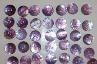 51 Antique Mop Shell Buttons - Purple - Old Mother Of Pearl Shell Button photo