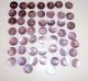 51 Antique Mop Shell Buttons - Purple - Old Mother Of Pearl Shell Button Buttons photo 1