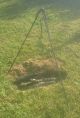 Iron Cooking Tripod Or Cook Rack,  Reenactors,  Open Fire Cooking,  Blacksmith Primitives photo 9