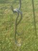 Iron Cooking Tripod Or Cook Rack,  Reenactors,  Open Fire Cooking,  Blacksmith Primitives photo 4
