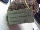 Primitive Pineapple Light By 