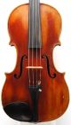 Excellent Antique Czech Viola By John Juzek,  C.  1920,  Set - Up And Ready To Play String photo 1