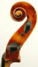 Excellent Antique Czech Viola By John Juzek,  C.  1920,  Set - Up And Ready To Play String photo 3