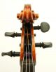 Excellent Antique Czech Viola By John Juzek,  C.  1920,  Set - Up And Ready To Play String photo 5