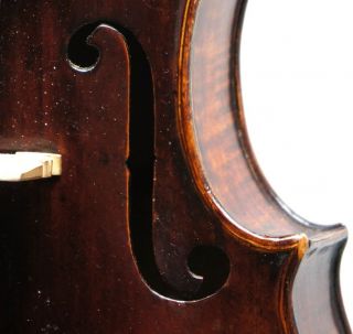 Gorgeous Antique 18th Century Saxon Violin - Wonderful Dark,  Rich,  Powerful Tone photo