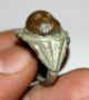 Roman Silver Emperor Carnelian Intaglio Ring With Brown Stone 200 Ad Roman photo 11