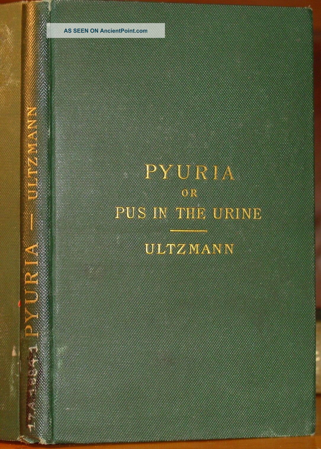 1884 Pyuria Pus In The Urine Treatment Medical Disease Dr Robert Ultzmann Rare Quack Medicine photo