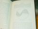 1884 Pyuria Pus In The Urine Treatment Medical Disease Dr Robert Ultzmann Rare Quack Medicine photo 6