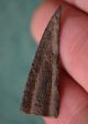 British Found Celtic Bronze Tri - Lobe Socketed Arrow Head,  500 Bc Late Bronze Age British photo 8