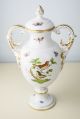 Herend Rothschild Bird Porcelain Big Urn Vase With Handles,  Mint Vases photo 1