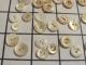 Antique Set 82 Hand Carved Button Pearl Sea Shell Sew Thru 1/4 