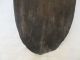 Old Antique Primitive Wooden Wood Rare Cutting Board Bread Plate Primitives photo 4