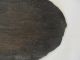 Old Antique Primitive Wooden Wood Rare Cutting Board Bread Plate Primitives photo 8