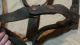 Ant Vtg Leather Horse Halter Headstall Western Rustic Cabin Primitive Barn Primitives photo 3