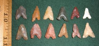 (12) Fine Mini Sahara Neolithic Algerian Points,  Prehistoric African Arrowheads photo