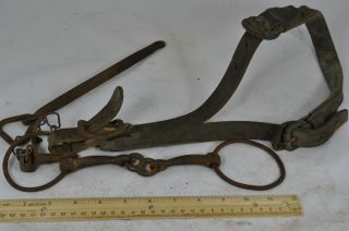 Antique Iron Snaffle Bit & Leather Bridle Old Horse Tack Western Cowboy Decor photo