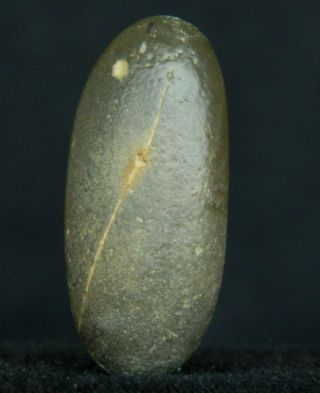 Neolithic Basalt Labret - 6000 To 3000 Years Before Present - Sahara photo