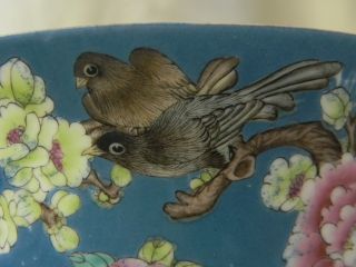 Chinese Famille Rose Porcelain Bowl Birds Flowers Nr photo