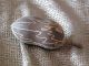 Old Australian Aboriginal Carved Boab Nut… From The Kimberley’s. . . Other photo 2