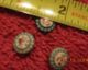 Set Of 5 Antique Brass And Enamel Painted Buttons Matching Roses Early Buttons Buttons photo 1