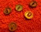 Set Of 5 Antique Brass And Enamel Painted Buttons Matching Roses Early Buttons Buttons photo 3