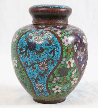 Small Antique Chinese Cloisonne Ginger Jar With Lid Bright Floral Butterfly photo