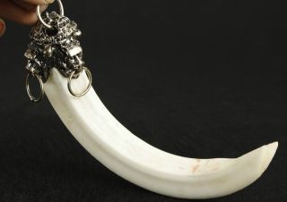 Chinese Old Miao Silver Inlay Tooth Collectable Handwork Carved Leo Pendant Cool photo