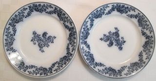 Antique Blue Plates 8 