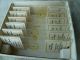 Antique Boxed Microscope Prepared Specimen Slides - Parts Of Common Wasp Worker Other photo 11