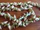 Tasmanian Aboriginal Maireener Green White Iridescent Shell Necklace 40 Inches Pacific Islands & Oceania photo 1