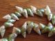 Tasmanian Aboriginal Maireener Green White Iridescent Shell Necklace 40 Inches Pacific Islands & Oceania photo 3