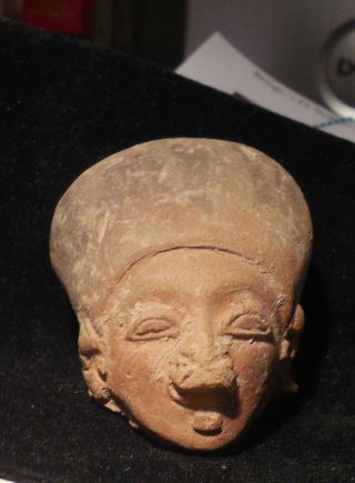 Pre Columbian Pottery Fragment Ecuador Head La Tolita Authentic Small 1 1/2 