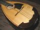 Vintage German Bowlback Mandolin Herwiga - Master Piece - Brilliant Sound - Case String photo 2
