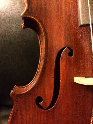 Old Violin photo
