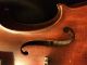 Old Violin String photo 1